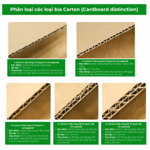 Read more about the article Nên dùng thùng carton 3 lớp hay 5 lớp cho hàng hóa của bạn?