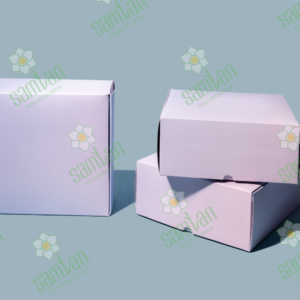 Read more about the article Bao Bì Carton Cho Thương Mại Điện Tử: Giải Pháp Đóng Gói An Toàn