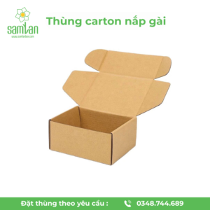 Thùng Carton Nắp Gài (Die-cut Box)