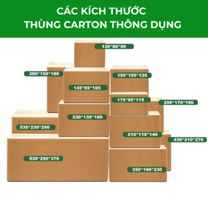 Read more about the article Tổng hợp kích thước hộp Carton đóng hàng COD cho Shop Online: Rẻ – Bền – Đẹp