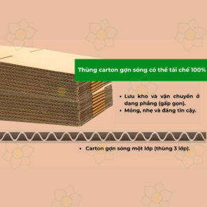 Read more about the article Thùng Carton 3 Lớp Và 5 Lớp Khác Nhau Thế Nào?