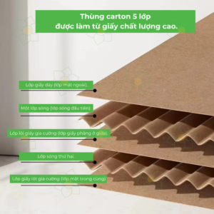 Read more about the article Thùng Carton 5 Lớp Hà Nội | Báo Giá Tận Xưởng 2026