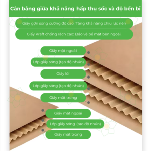 Read more about the article So sánh thùng carton 3 lớp và 5 lớp: Khi nào nên nâng cấp để bảo vệ hàng hóa tốt nhất?