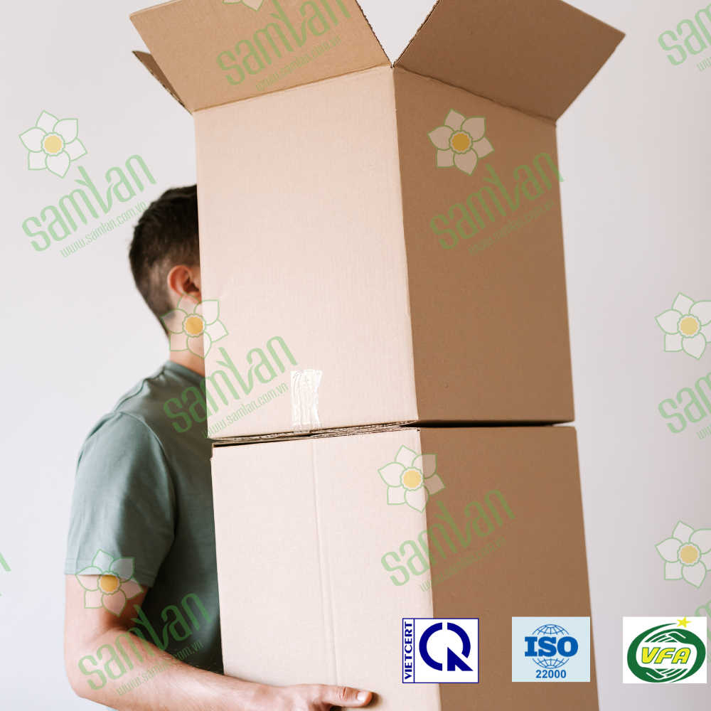 Read more about the article Mua thùng Carton đóng hàng đi Mỹ, gửi hàng quốc tế: Kích thước và tiêu chuẩn bắt buộc 2026