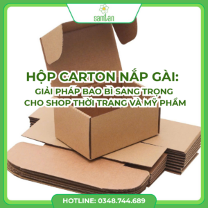 Read more about the article Hộp Carton Nắp Gài: Giải Pháp Bao Bì Sang Trọng Cho Shop Thời Trang Và Mỹ Phẩm