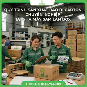 Read more about the article Quy Trình Sản Xuất Bao Bì Carton Chuyên Nghiệp Tại Nhà Máy Sam Lan Box