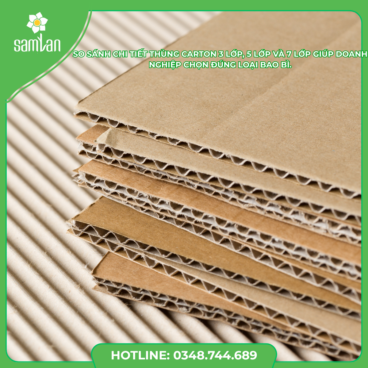 Read more about the article So sánh thùng carton 3 lớp, 5 lớp, 7 lớp: Chọn loại nào phù hợp?