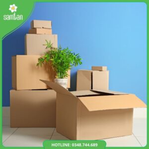 Read more about the article Sam Lan Box | Thùng Carton, Carton Box, Hộp Giấy Theo Yêu Cầu