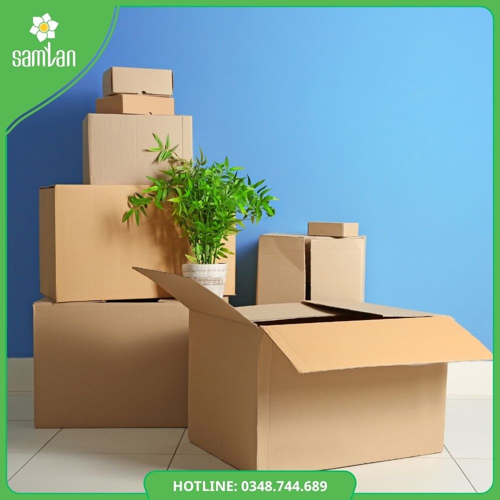Read more about the article Sam Lan Box | Thùng Carton, Carton Box, Hộp Giấy Theo Yêu Cầu